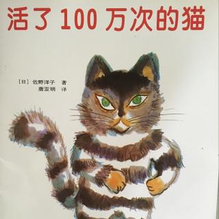 【亲爱的，晚安】《活了100万次的猫》绘本故事