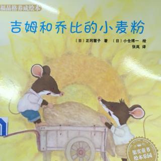 🐭吉姆和🐭乔比的小麦粉