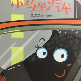 小马坐汽车