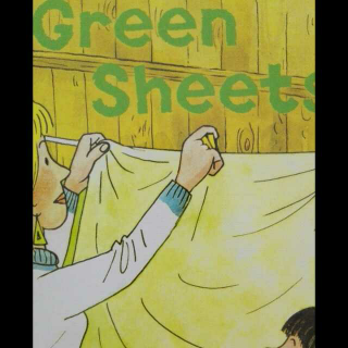 牛津dd3-11green sheets