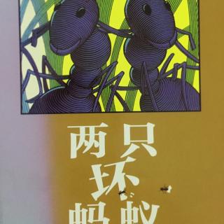 【绘本故事54】--《两只坏蚂蚁》