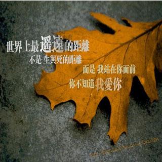 世界上最遥远的距离-朗诵：熊敏，曲樑