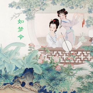 最美的文字VOL12：《如梦令·昨夜雨疏风骤》