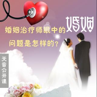 《婚姻治疗师眼中的婚姻问题是怎样的？》-李敏儿