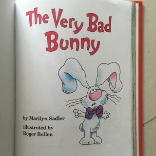 The very bad bunny 2016.05.08