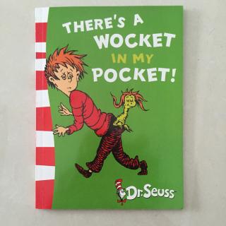 There's a wocket in my pocket 2016.01.04