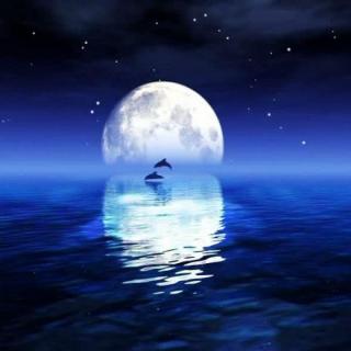 【亲爱的晚安】月亮的距离