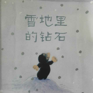 雪地里的钻石