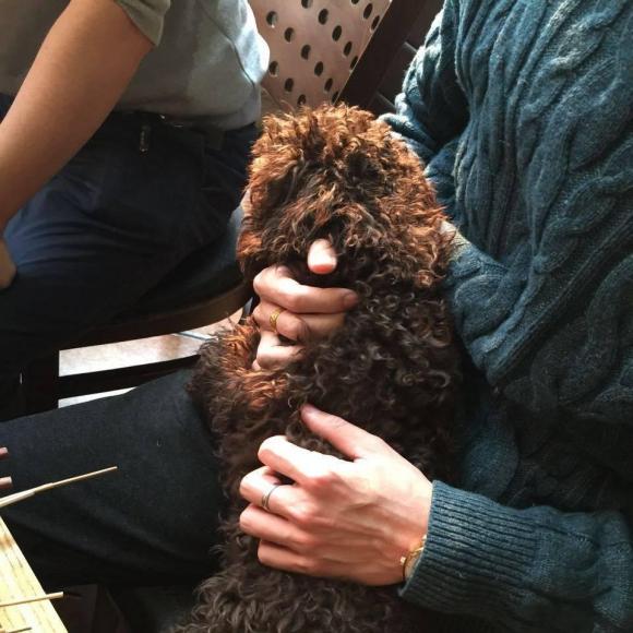 00:00 00:00  124 这里是相爷的僵尸粉,喵(づ~3~)づ╭