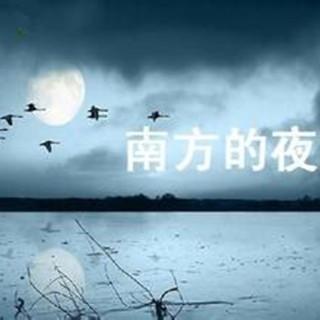 凝眸：南方的夜