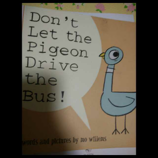 Don't let the pingeon drive the bus by Sarah