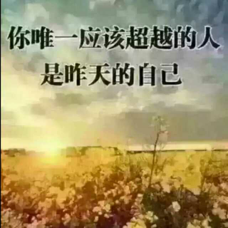 你可能不是最优秀的，那又怎样？