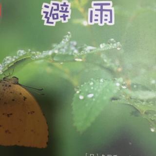 【绘声绘色】绘本故事《避雨》