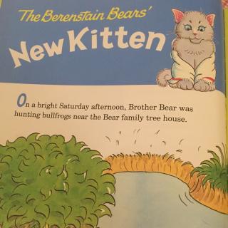 The Berenstain Bears' New Kitten 🐱