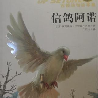 西顿动物故事集《信鸽阿诺》3