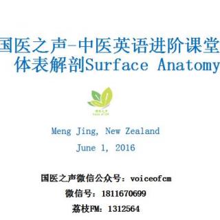 中医英语进阶课堂：体表解剖Surface Anatomy