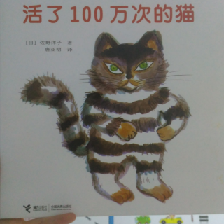 35.活了100万次的猫