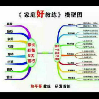 思维导图路红军学习教练