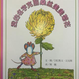 我的名字克丽桑丝美美菊花