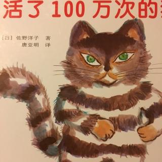 活了100万次的猫