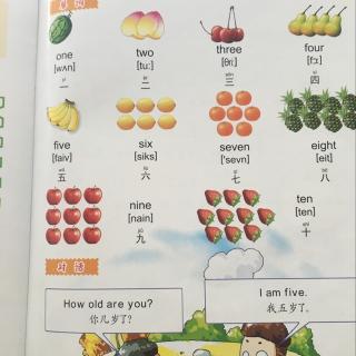 爱文英语 第十六课 数水果
