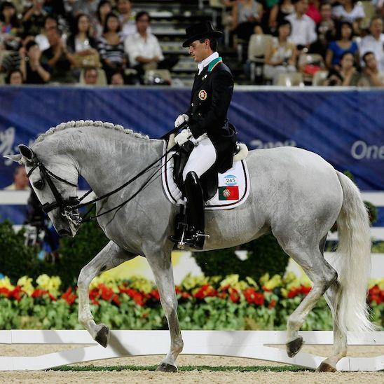 第二十期:马术基本步伐(慢步,快步)