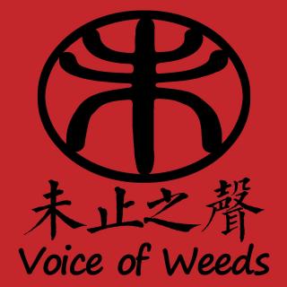 伍迪艾伦的《倒序人生》从坟墓到摇篮