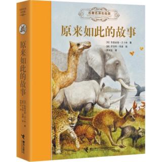 《原来如此的故事》之豹子🐆身上的斑纹是怎样来的？