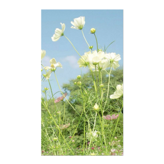 韶华胜极/胡村月令（陌上桑）——胡兰成