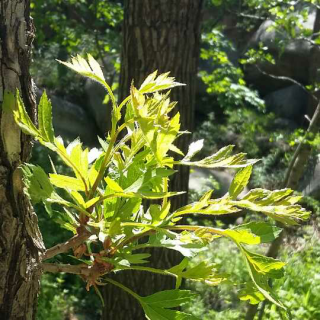 郊游玉渡山的补充攻略