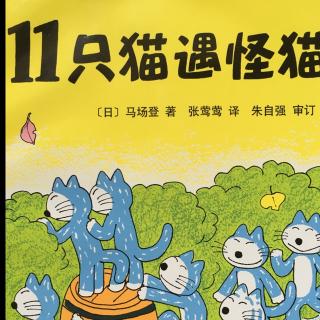 大米讲故事：11只猫遇怪猫