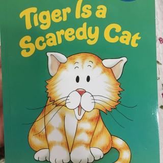 tiger is a scaredy cat