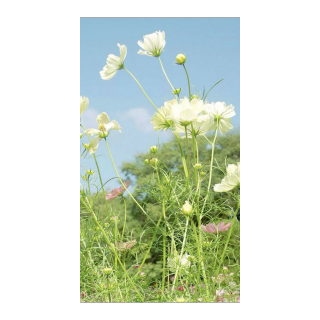 韶华胜极/胡村月令（清明）——胡兰成