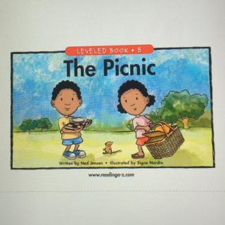 The picnic-芋头