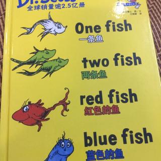 one fish