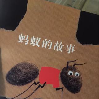 《蚂蚁🐜的故事》
