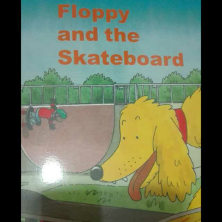 Floppy and the skateboard