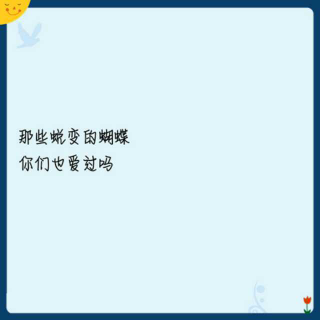 蝴蝶蝴蝶，你爱过吗