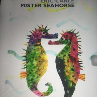 Mister Seahorse