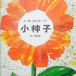 小种子——从一朵小花看世界