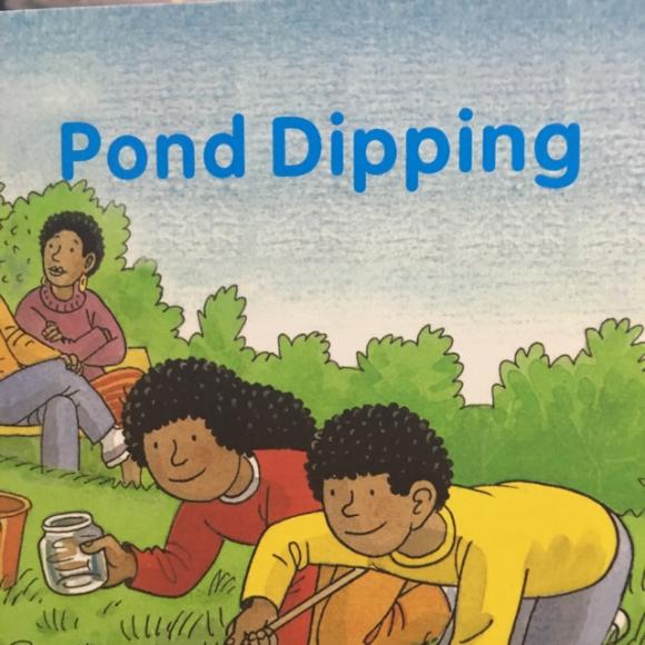 pond dipping