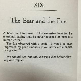 the bear and the fox 熊和狐狸