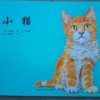 小猫