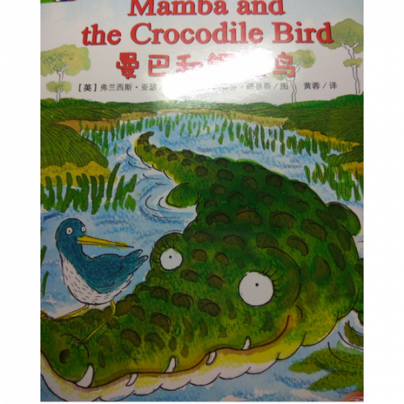 mamba and the crocodile bird