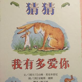 猜猜我有多爱你