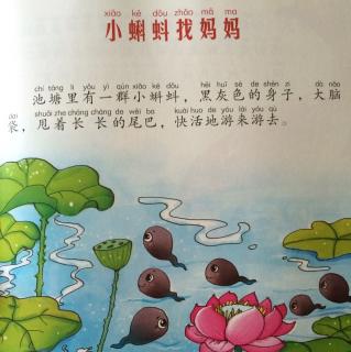 第18期：小蝌蚪找妈妈