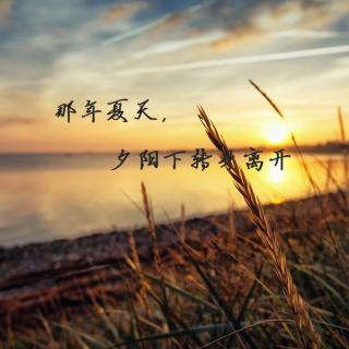 最美的文字VOL25：《那年夏天，夕阳下转身离开》（一）-潇湘涟漪