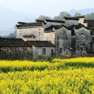 036宏村——中国画里的乡村