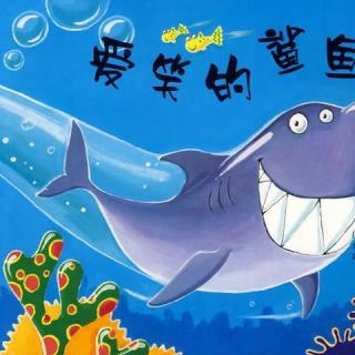 388【绘本故事】爱笑的鲨鱼