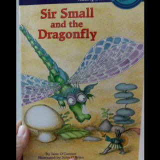 Sir Small and the Dragonfly  小小骑士大战蜻蜓